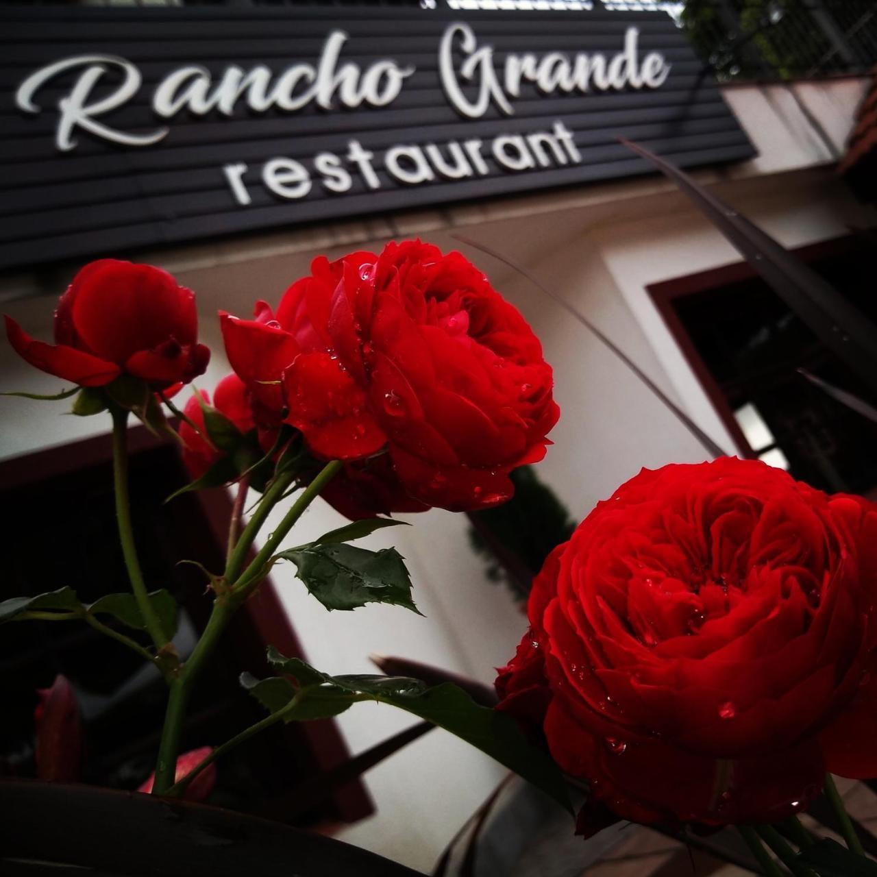 Rancho Grande Hotel Villa General Belgrano Exteriör bild